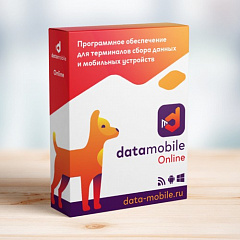 DataMobile, версия Online в Ижевске
