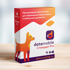 ПО DataMobile, версия Стандарт Pro в Ижевске